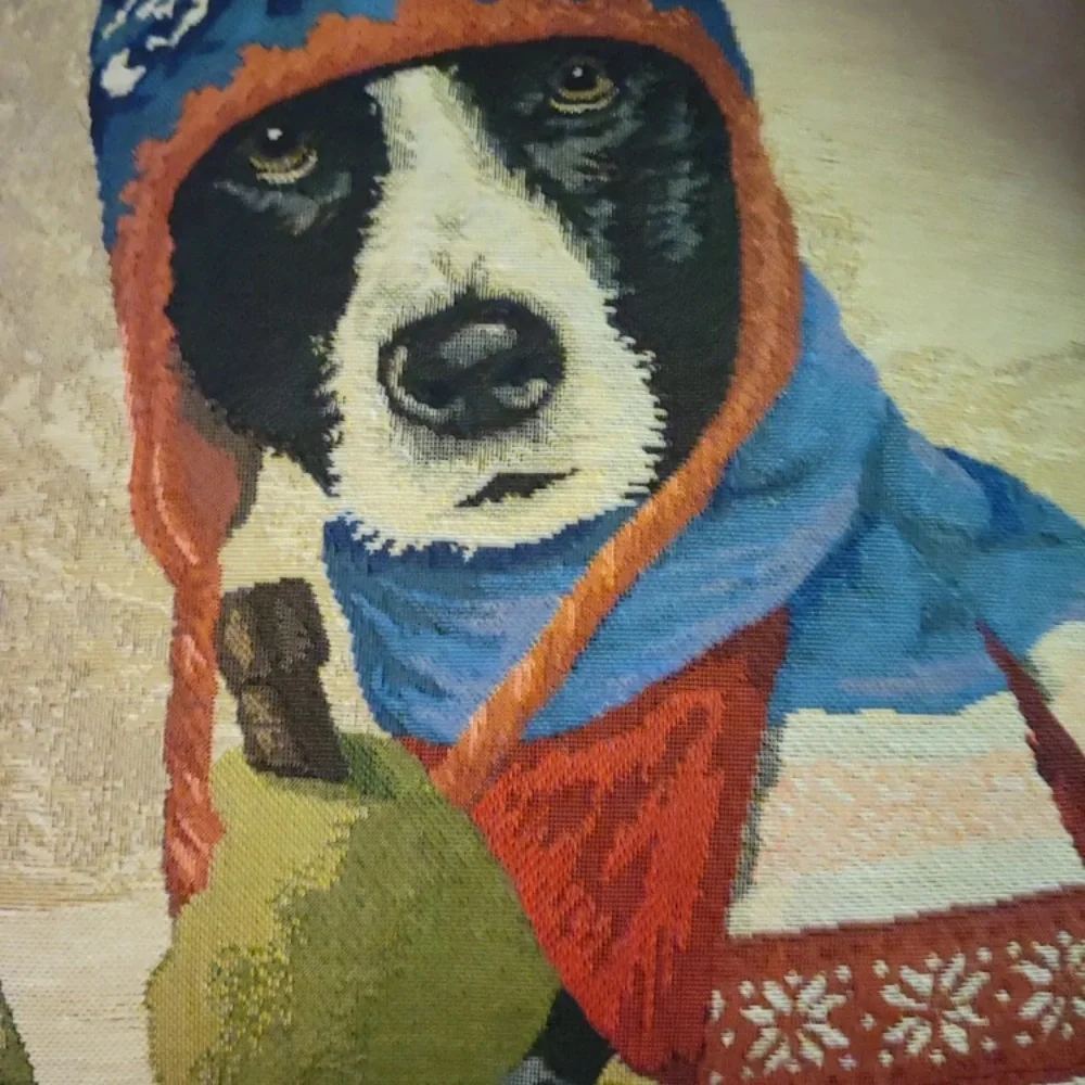 Rolande Du Dreuilh Australian Shepard Dog Skier 18